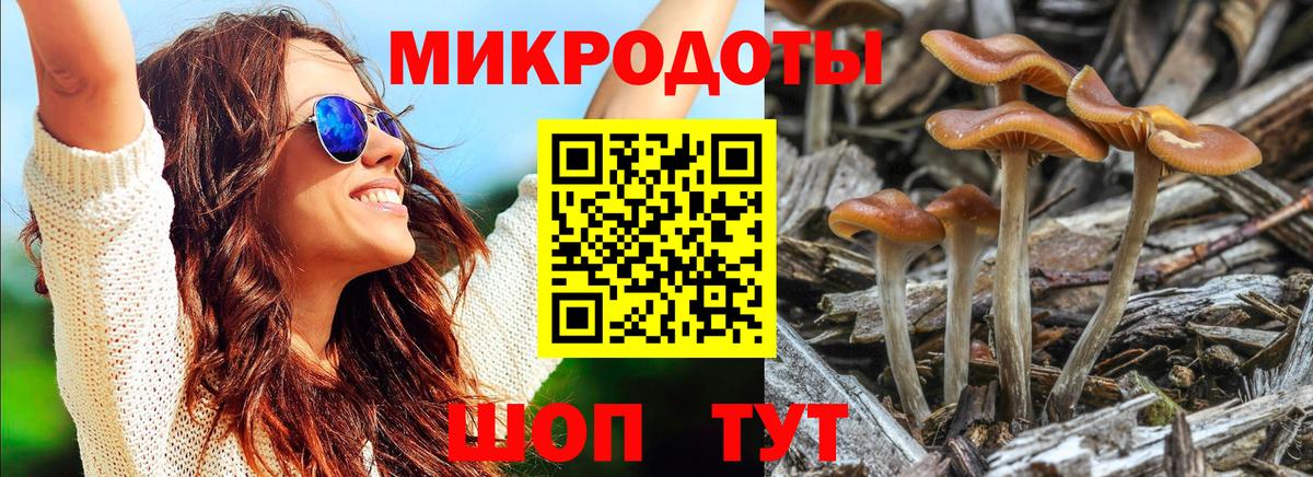 Псилоцибиновые грибы Magic Shrooms Белореченск